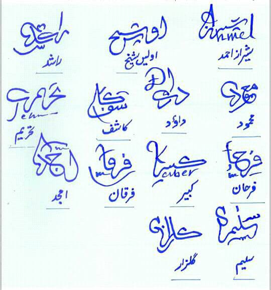 Different Signatures in Urdu 2