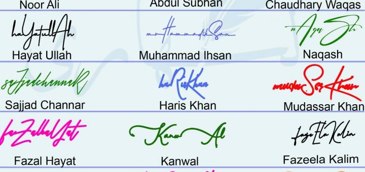 handwritten signature collection