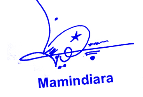Mamindiena Online Signature Style