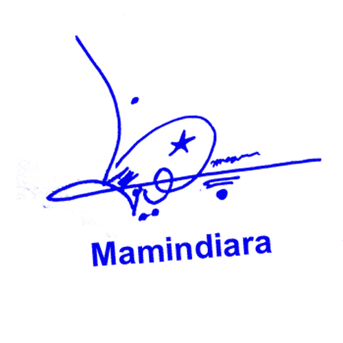 Mamindiena Online Signature Style
