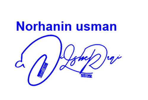 Norhanin Usman Online Signature Style